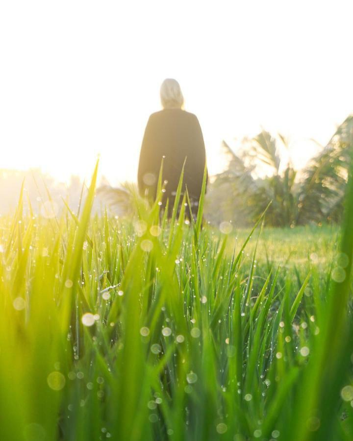 Vanilla Garden Tetebatu Εξωτερικό φωτογραφία